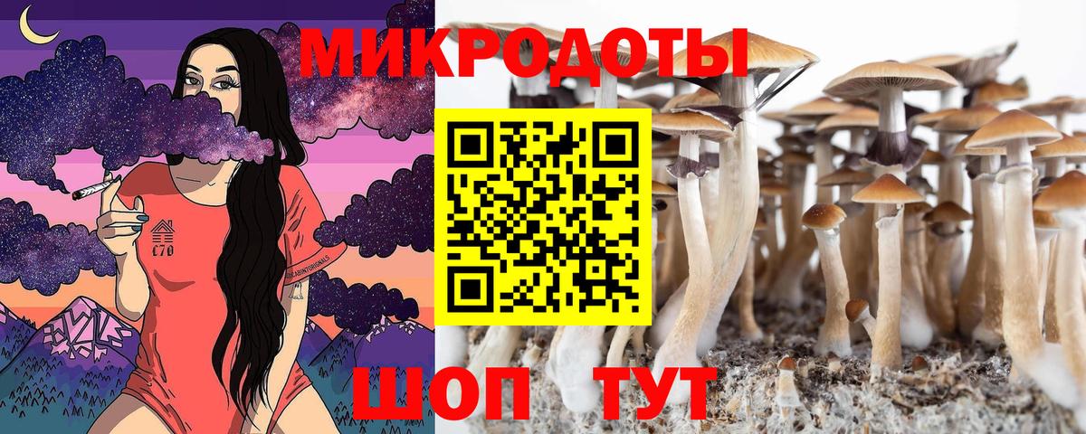 Псилоцибиновые грибы MAGIC MUSHROOMS Шелехов