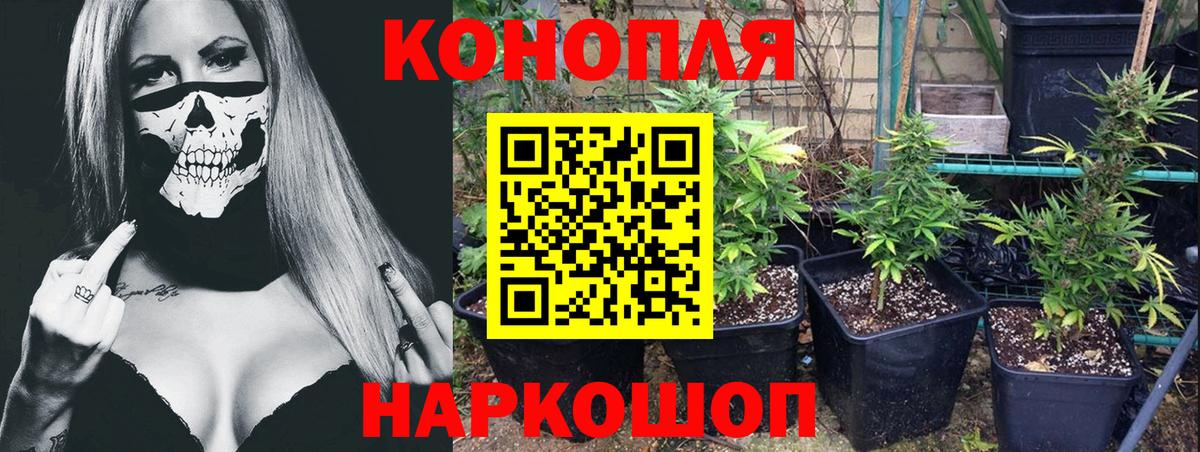 Канабис SATIVA & INDICA Шелехов